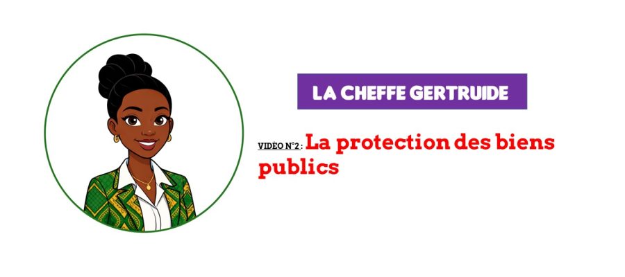 La protection des biens publics