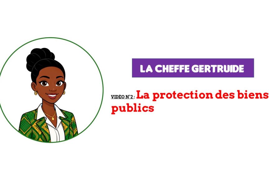 La protection des biens publics