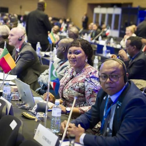 Participation à la Conférence régionale africaine d’INTERPOL au Cap, Afrique du Sud