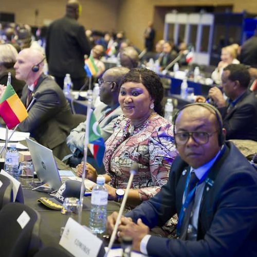 Participation à la Conférence régionale africaine d’INTERPOL au Cap, Afrique du Sud