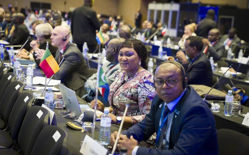 Participation à la Conférence régionale africaine d’INTERPOL au Cap, Afrique du Sud