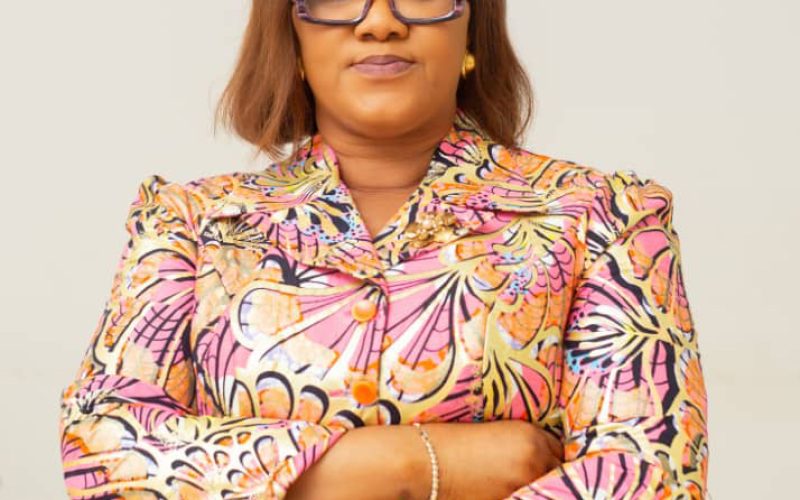 Le 15 novembre de chaque année, la communauté internationale célèbre la Journée internationale de lutte contre la criminalité transnationale organisée.