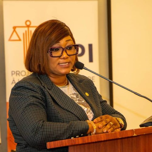 Journée internationale de lutte contre la criminalité transnationale organisée